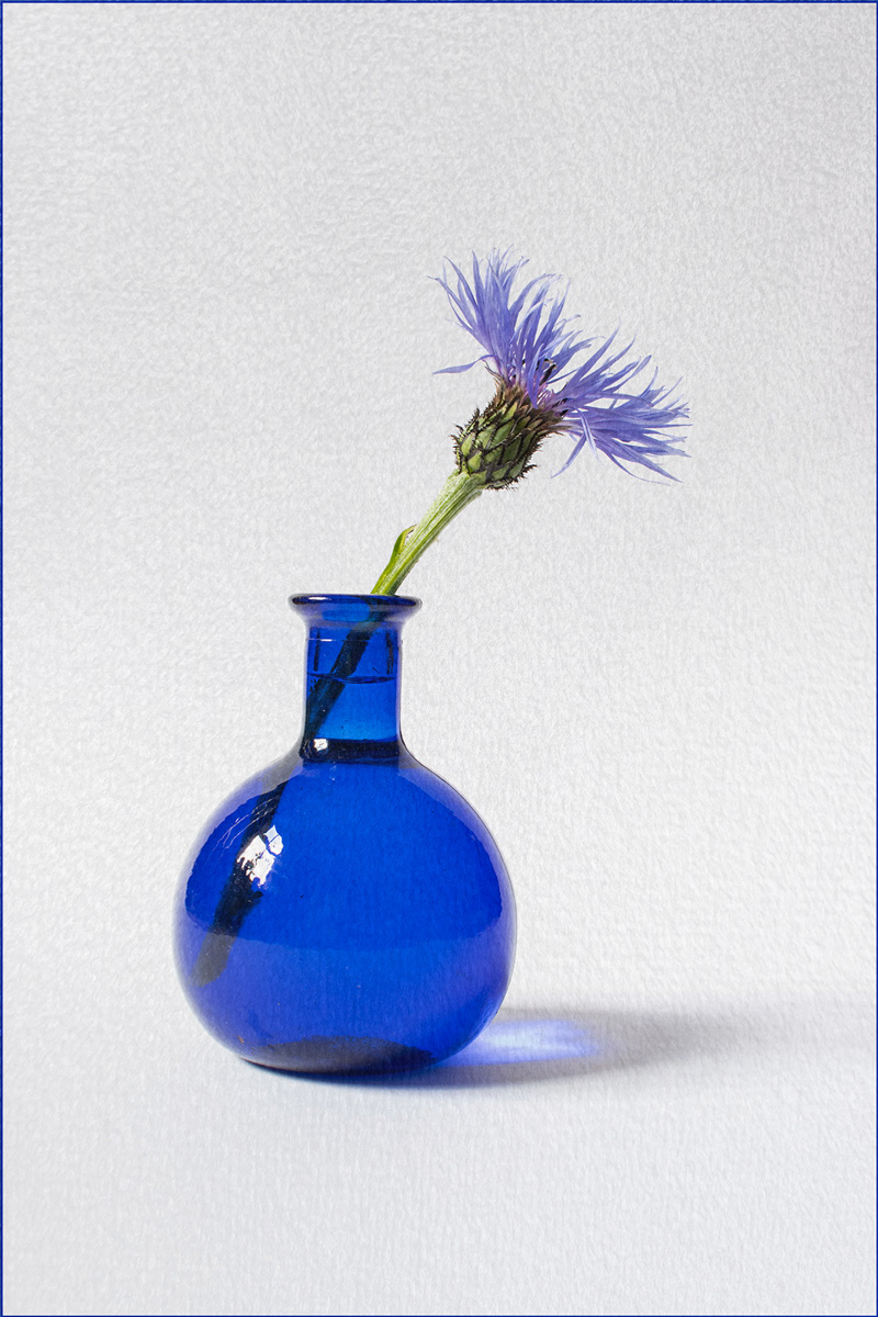 SCORE 10 Cornflower Blue by Fiona Humphrey JUDGES AWARD