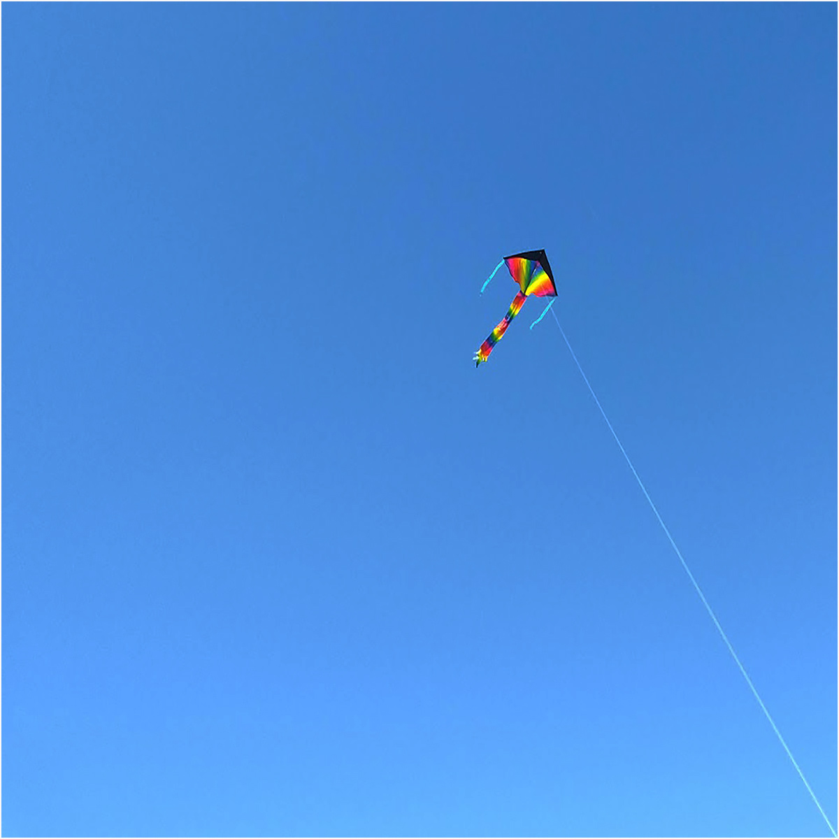 The Kite by Catherine Allum