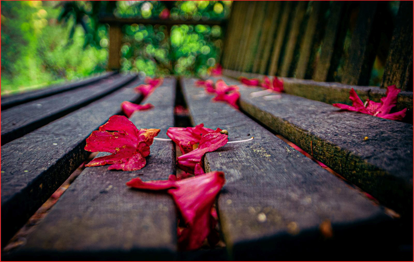 HELD BACK  Legend of the fallen by Bogdan Schiteanu