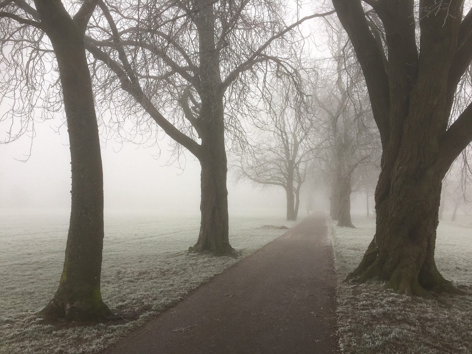 HIGHLY COMMENDED Queen's Park, Caterham on the Hill by Derek Forss