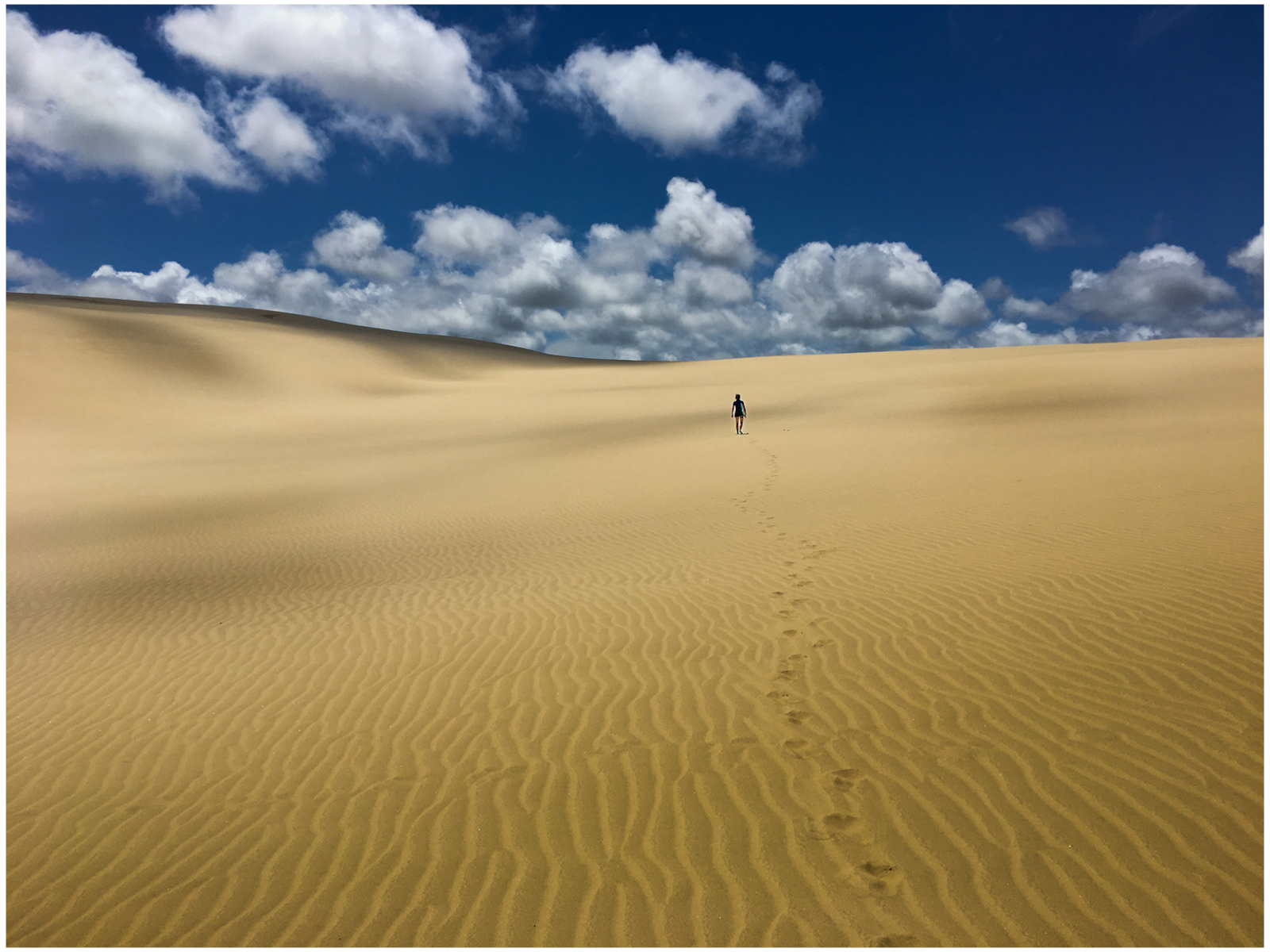 A Wander through the Sands by Ivan Anderson