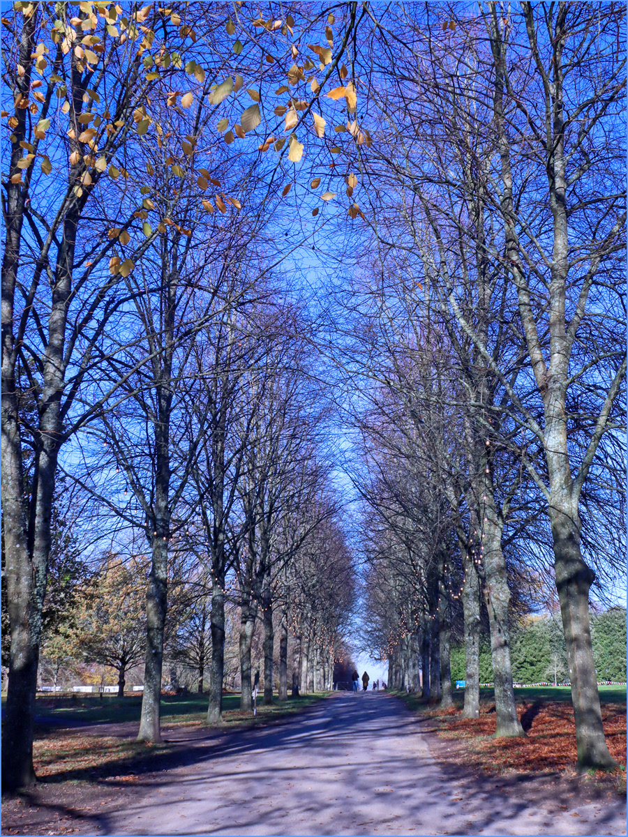 Steve Stuart_Walking at Polesden Lacey