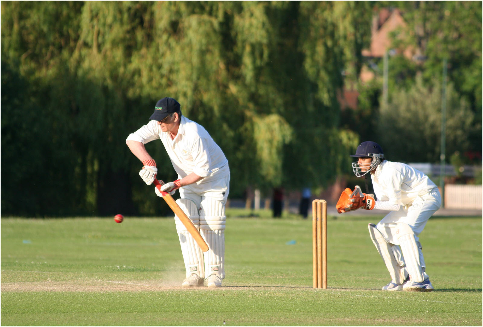 The Cricketers by Angela Stockbridge LRPS