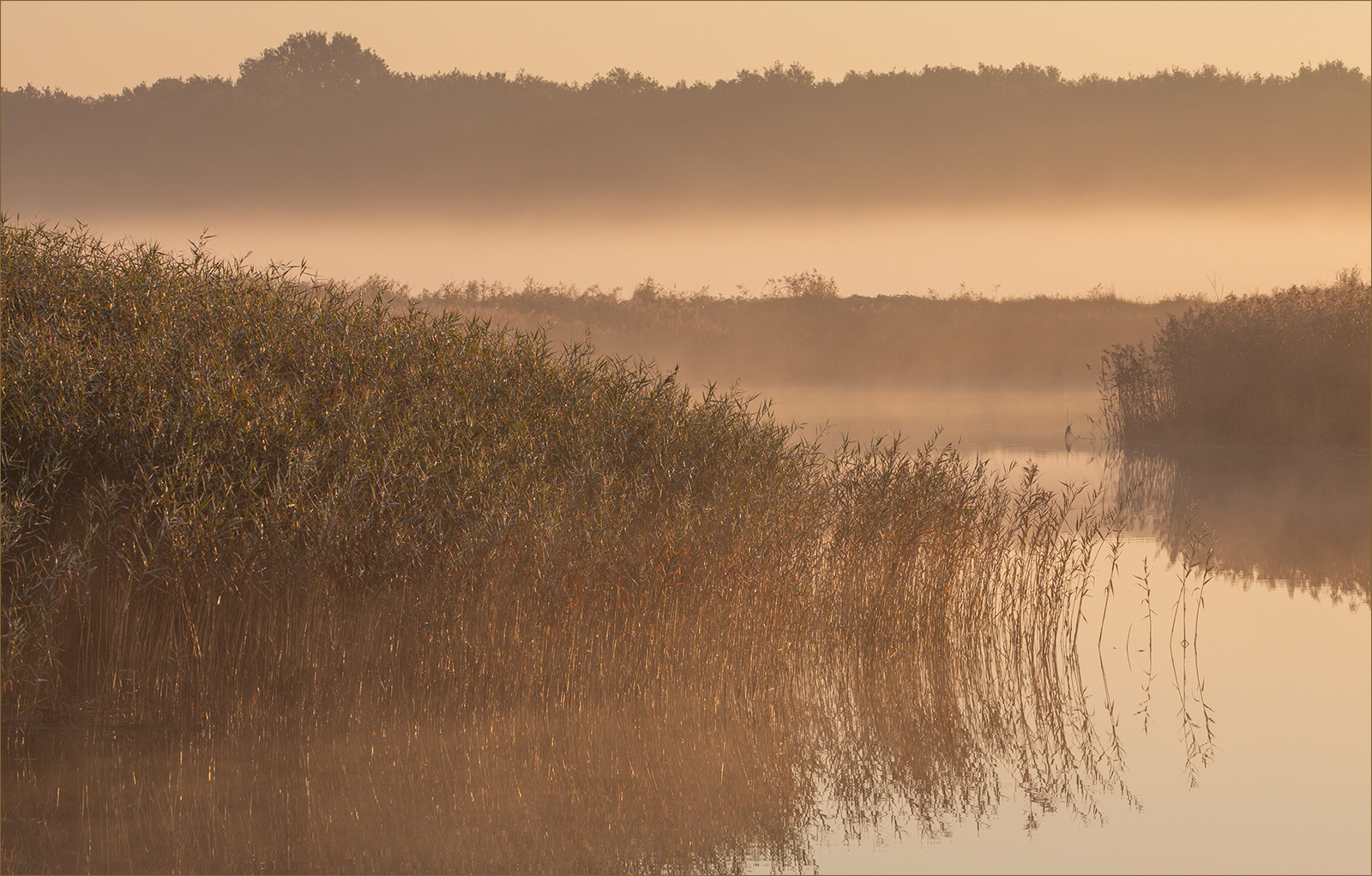 SCORE 9 Misty sunrise by Neil James