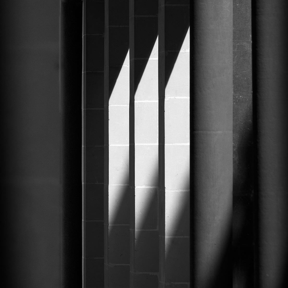 HIGHLY COMMENDED Shape and Shadow by Sheena Rogers