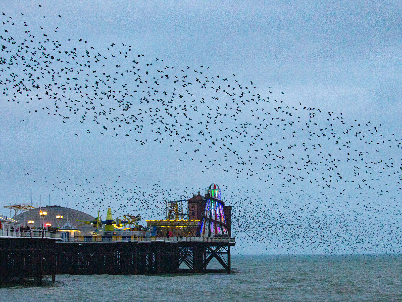 Murmuration at Brighton Pier by Catherine Allum