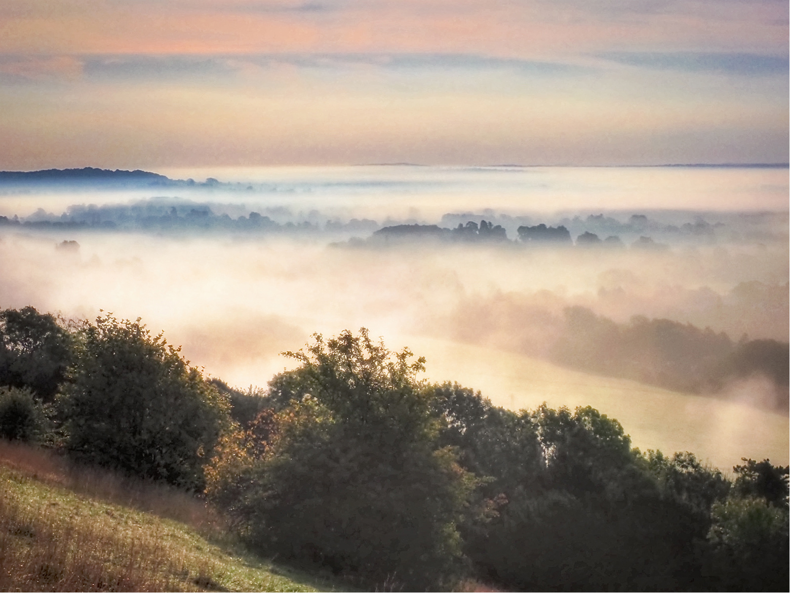 Misty Morning on Box Hill by Andrew Webster