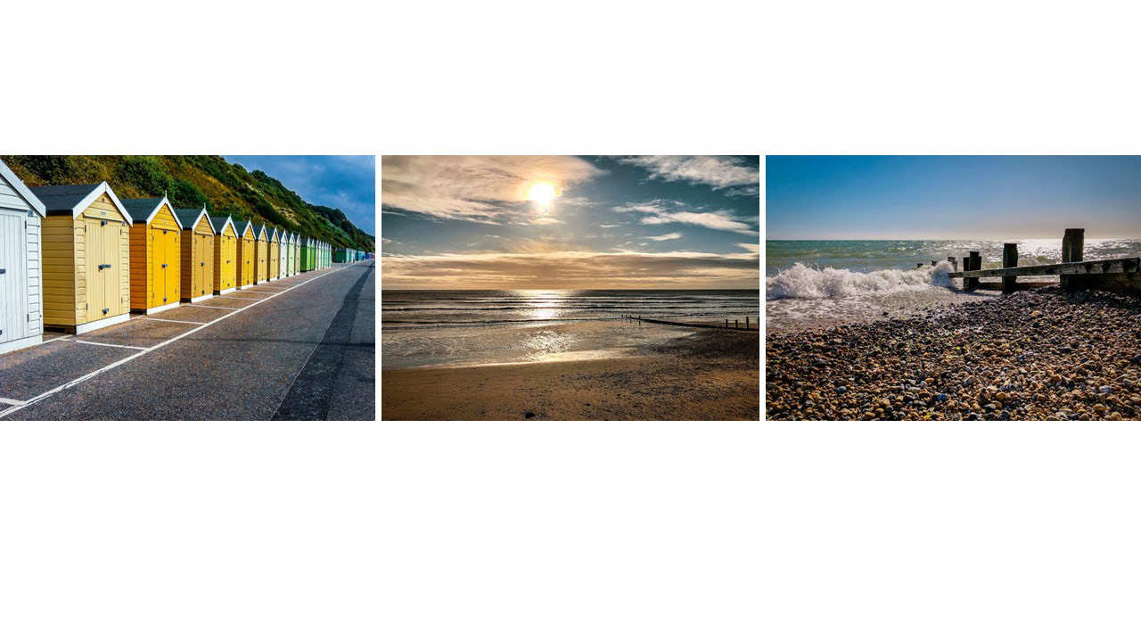 HC  The The Beach by Pamela Miller
