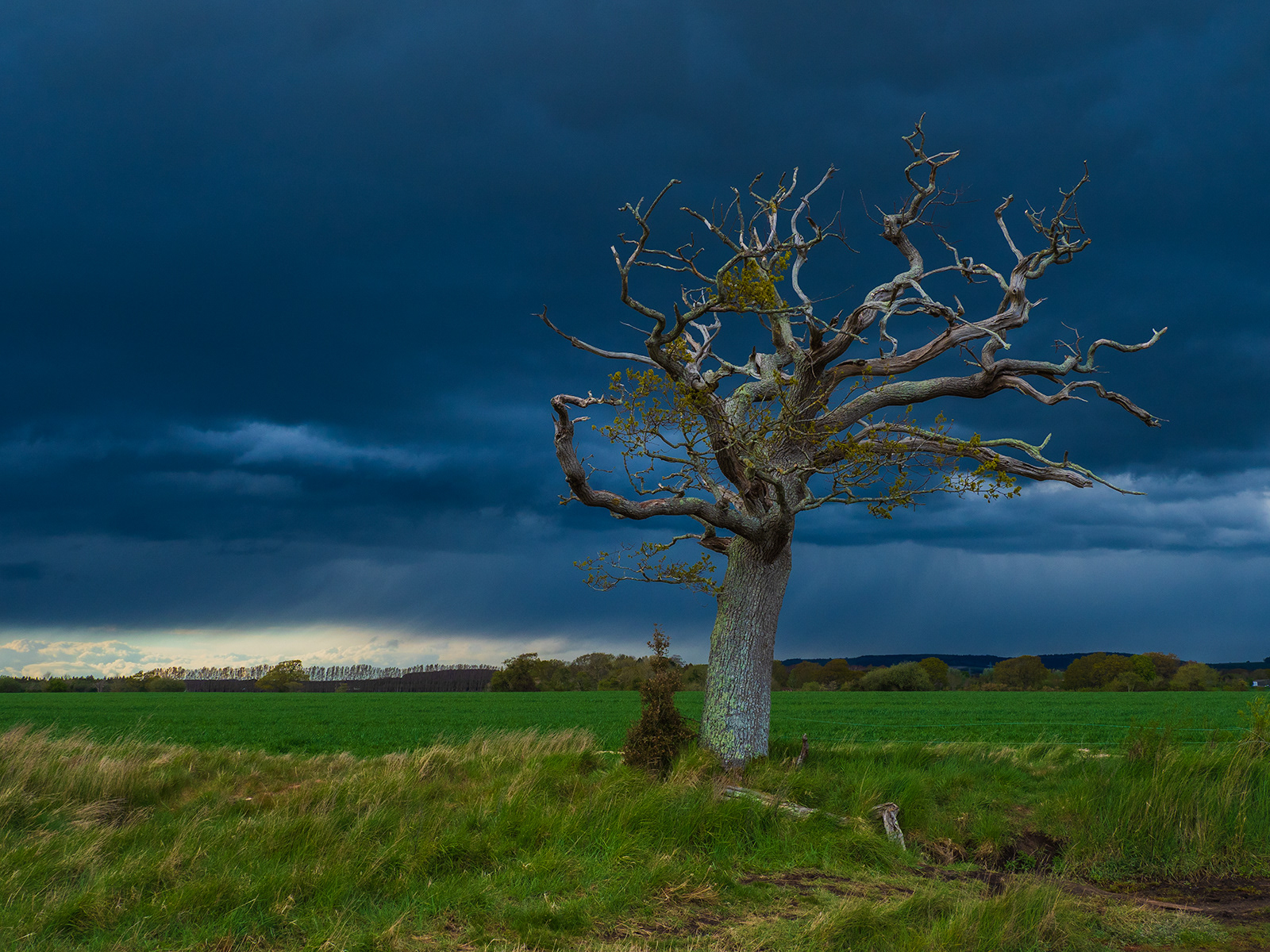 Rain Soon! by Derek Forss_