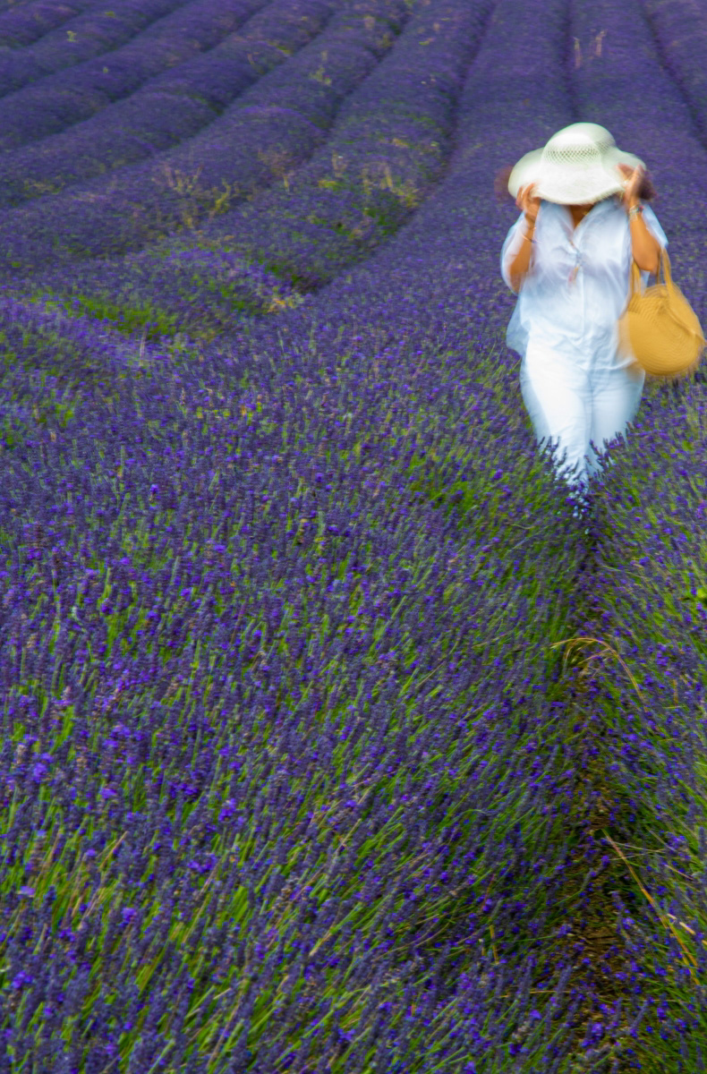 SCORE 10 Lavender by Zainab Mahmoud