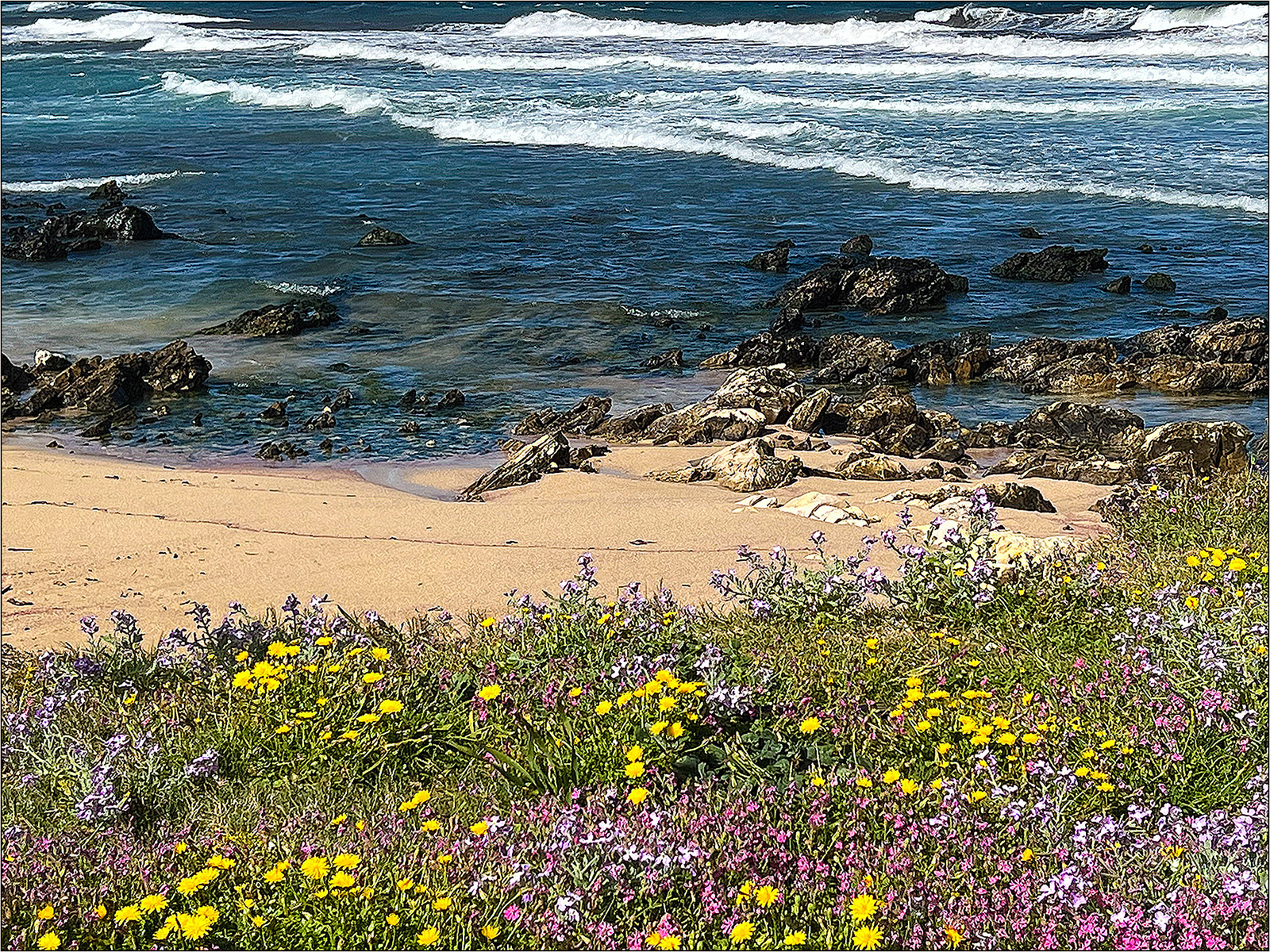 SCORE 8.0 Flower Meadow by the Sea by Andrew MacRae