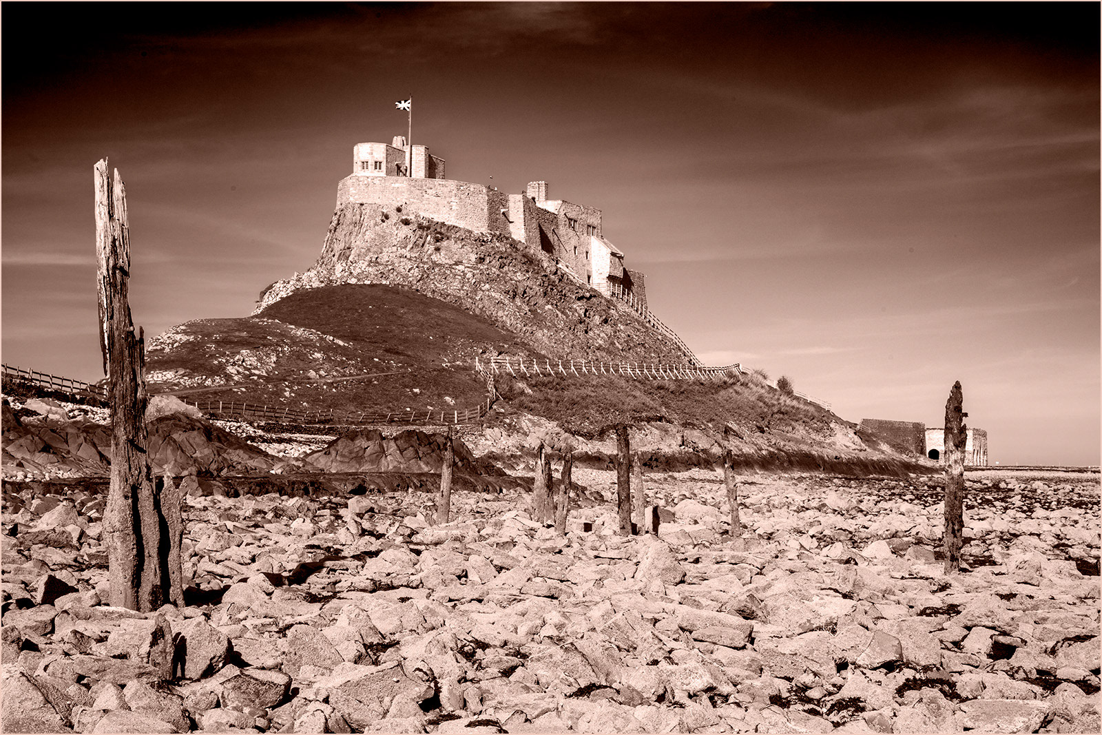 SCORE 9.0 The Old Jetty At Lindisfarne Castle by Paul Hodson