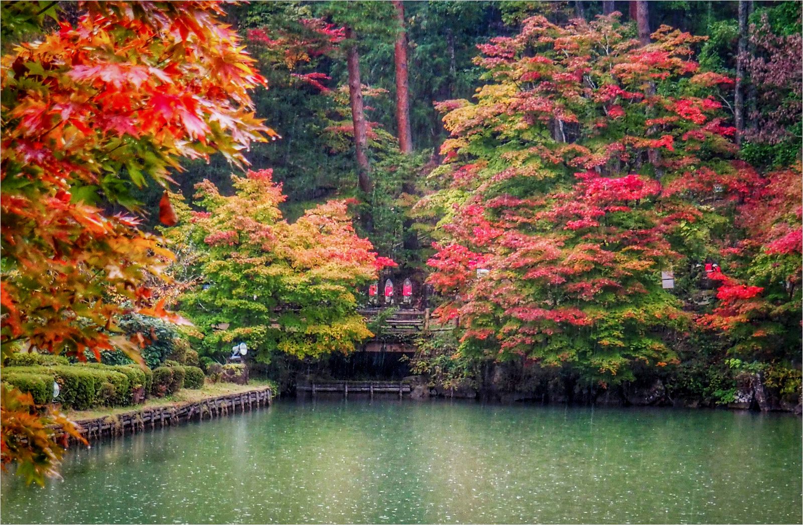 Autumn Rain, Takayama BY Andrew Webster ARPS