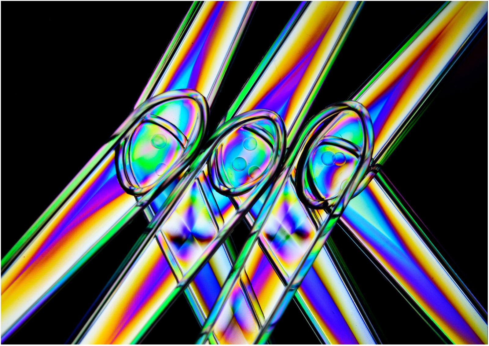 SCORE 9.0 Polarised Plastic by Genetta Aprilante
