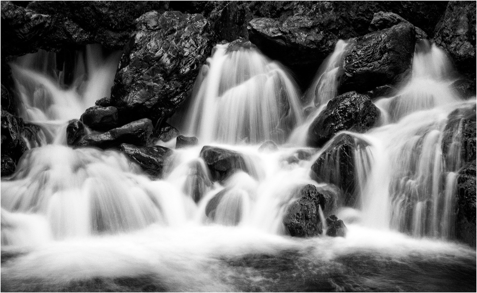 HIGHLY COMMENDED The Force by Sheena Rogers ARPS