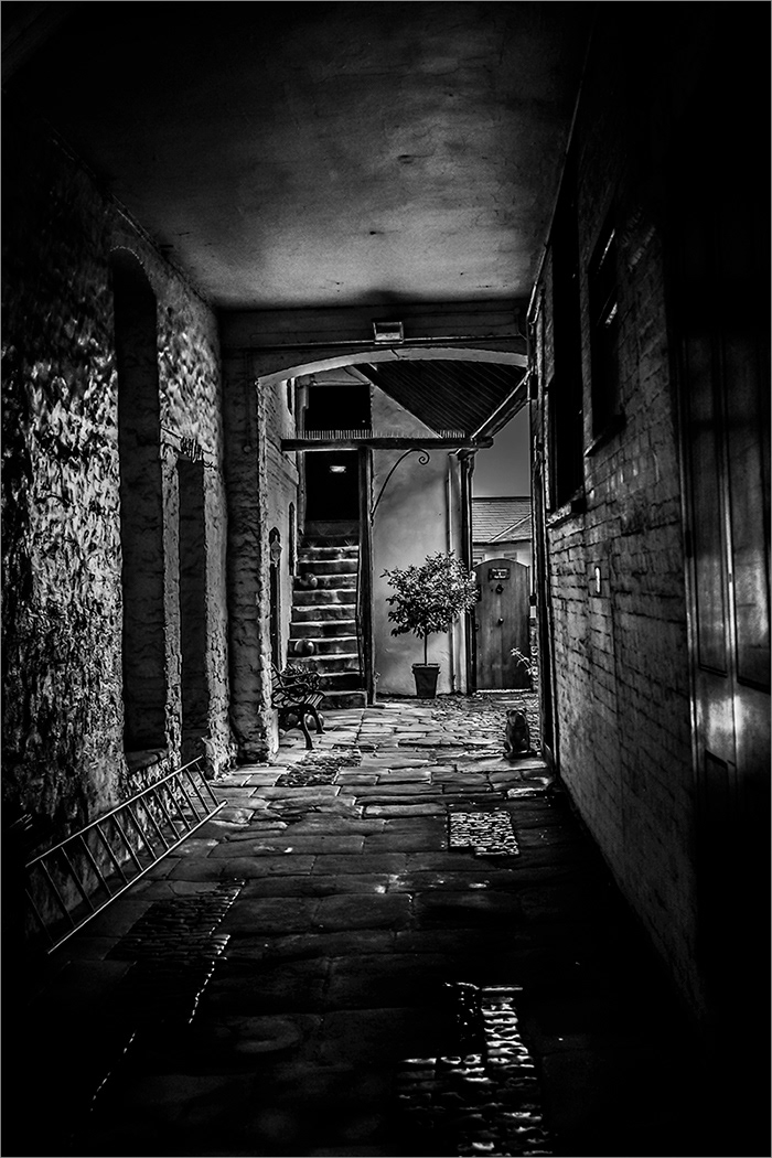 SCORE 9 Dark Ally by David Balaam