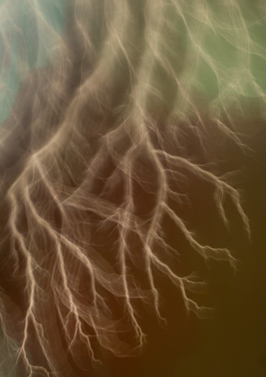 SCORE 10 Electrifying tree roots by Andi Hargreaves LRPS JUDGES AWARD