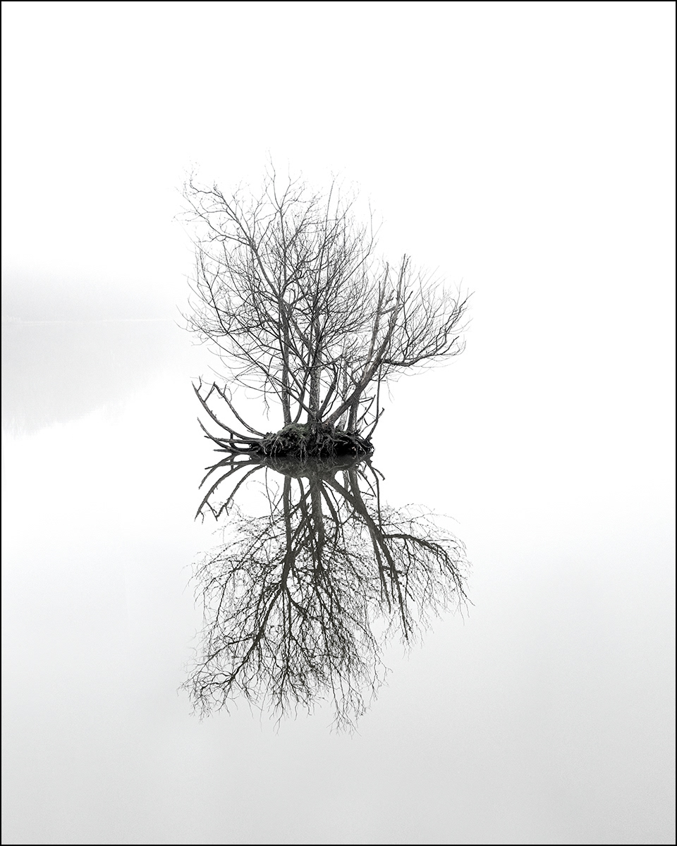 HIGHLY COMMENDED: A Foggy Day by Paul Hodson