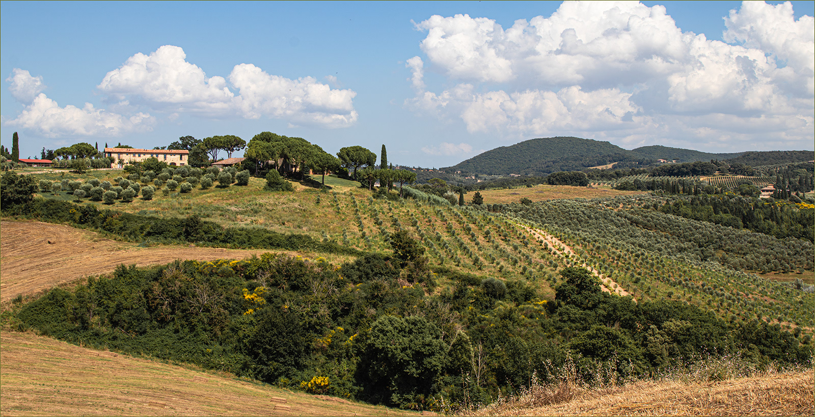 Gareth Balle_Tuscan view