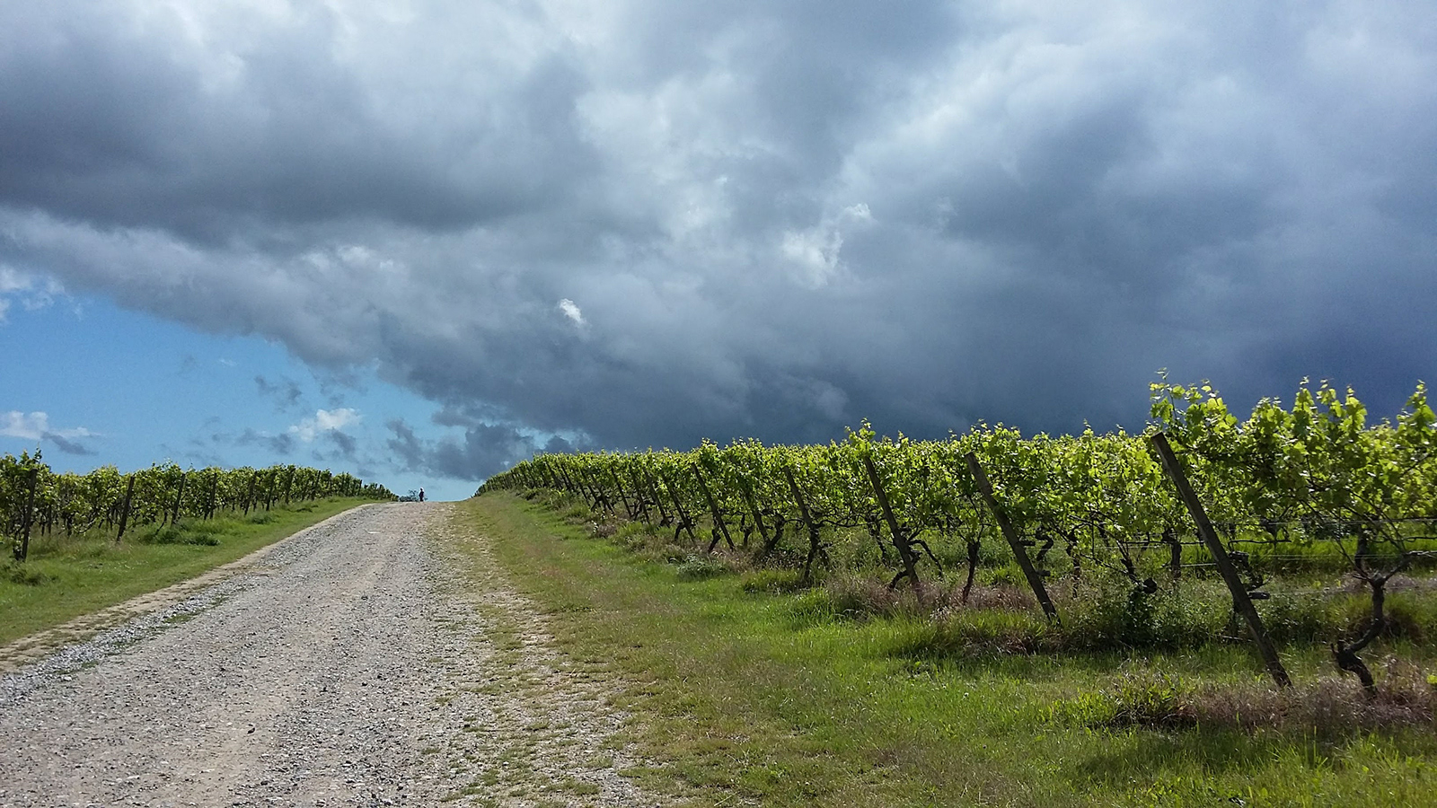Approaching Storm by Genetta Aprilante
