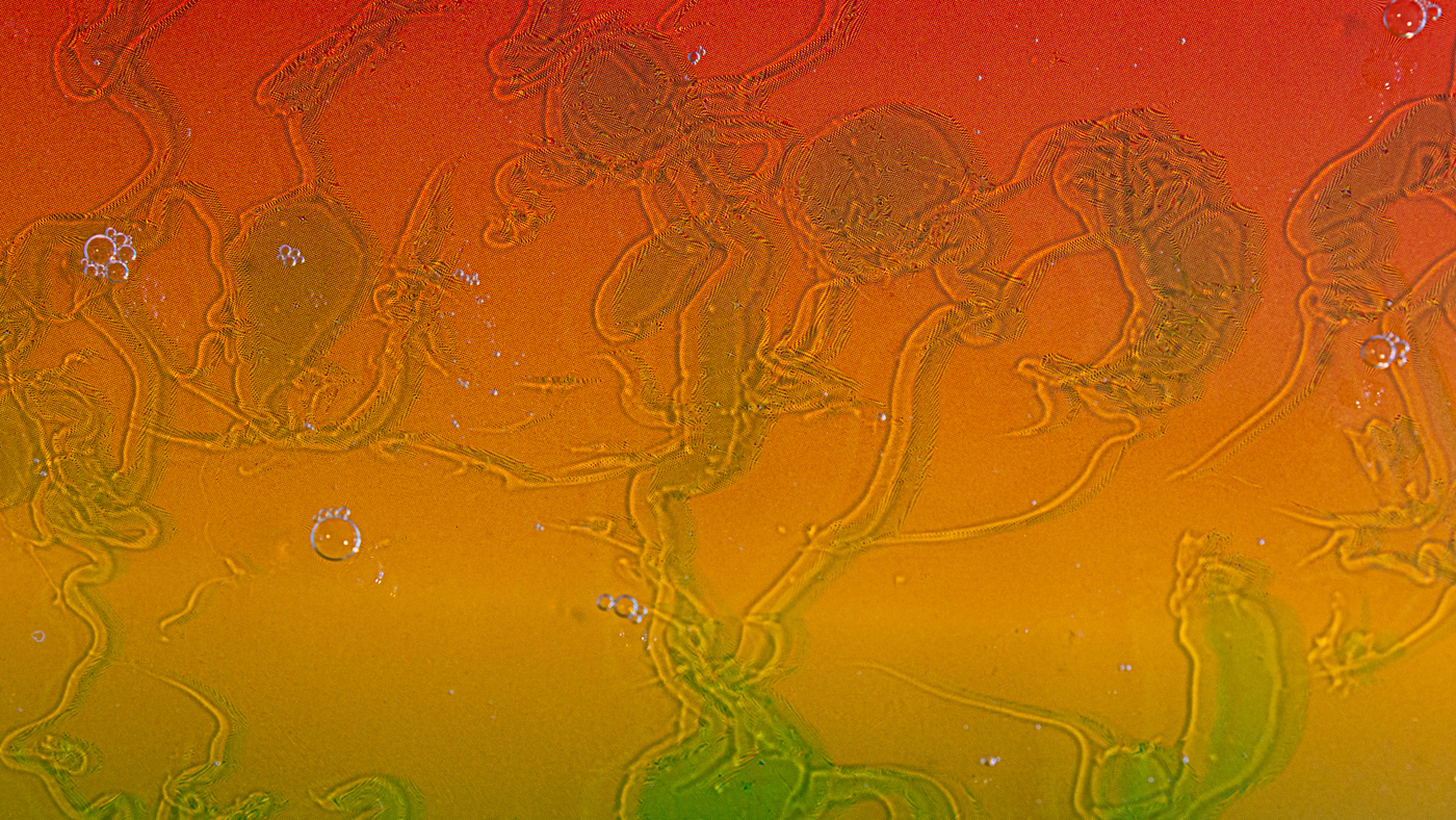 Tequila sunrise by Andi Hargreaves