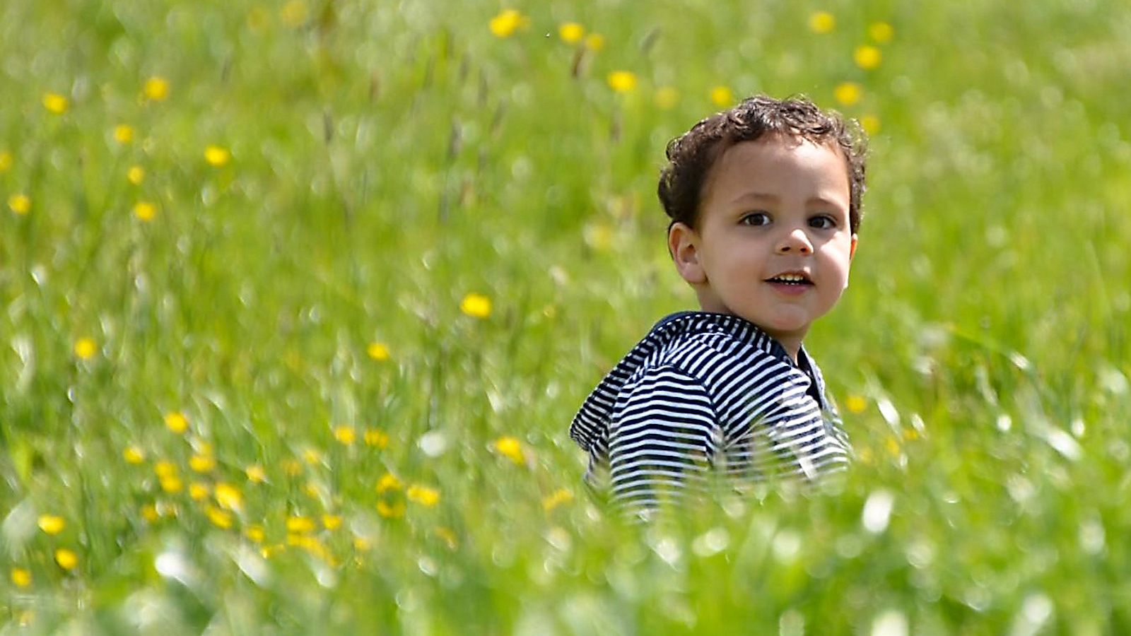 HIGHLY COMMENDED   Fun in the grass by Helen Cowie