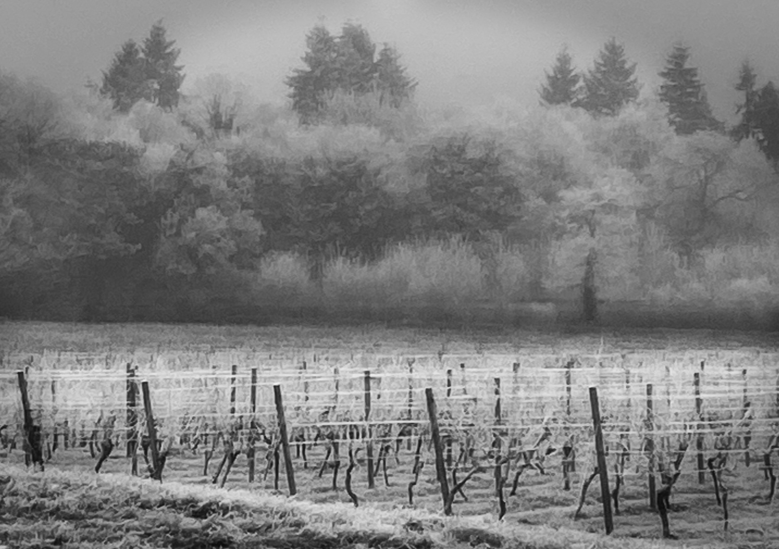 7.5 Denbies Winter by Alan Loryman