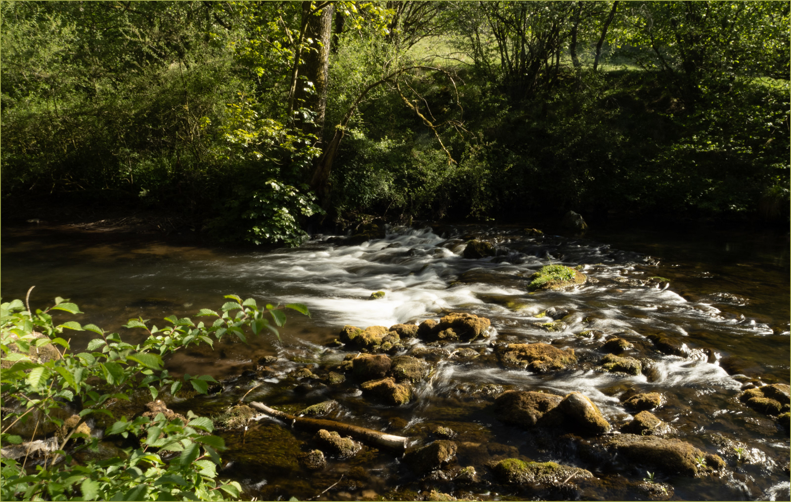 Spring Sunshine on the River Wye by Jill Mortimer