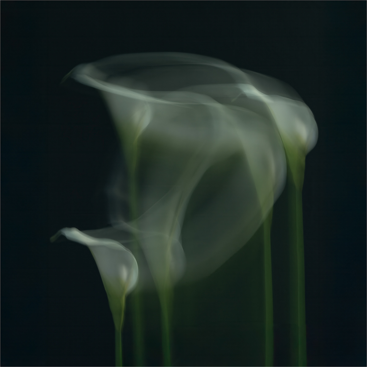 SCORE 9.0 Dancing by Richard Milton-Worssell
