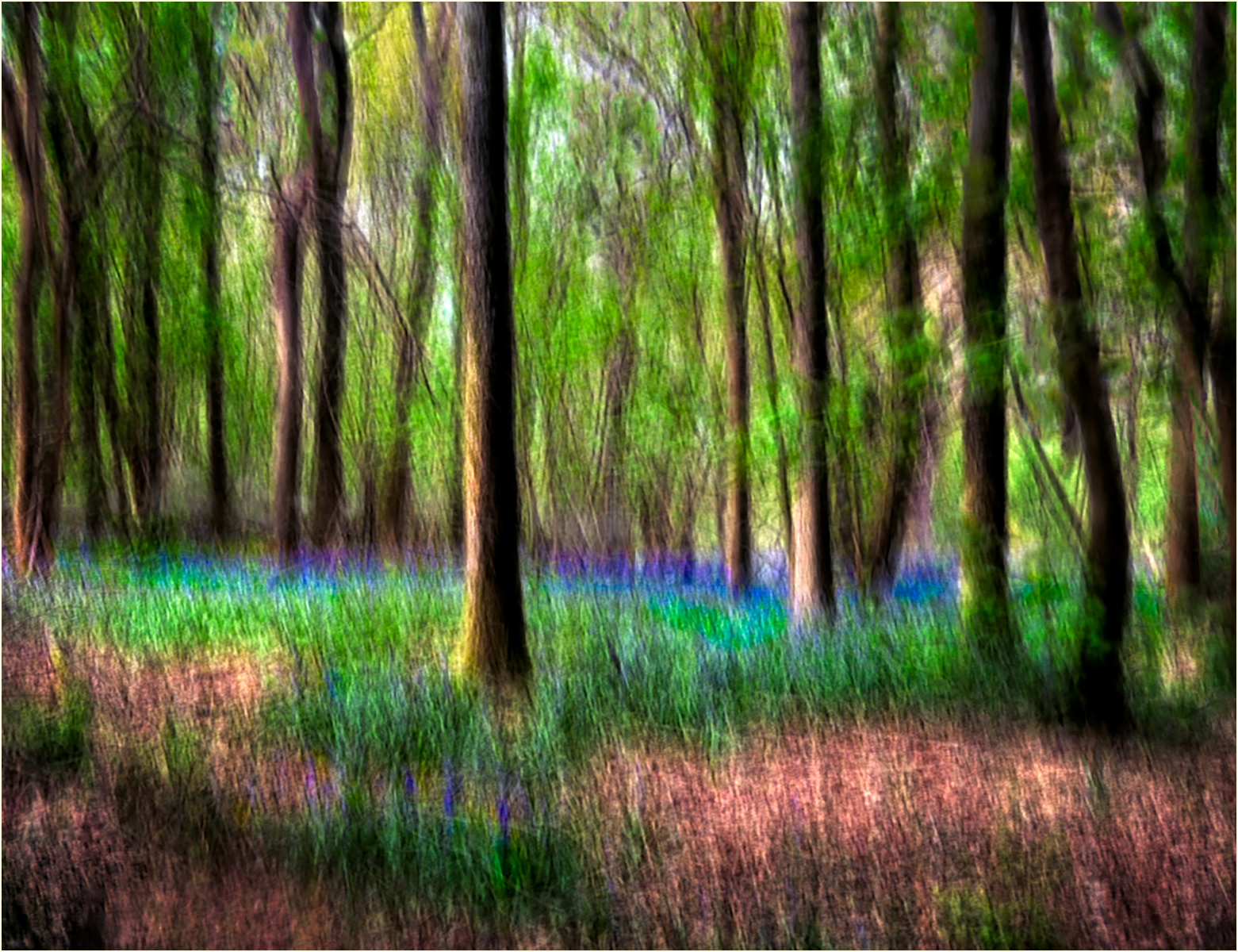 Cherkley Wood by David Hindley