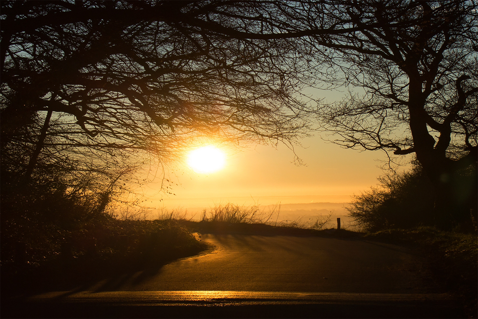 SCORE 10 Catherine Allum Box Hill road at sunrise