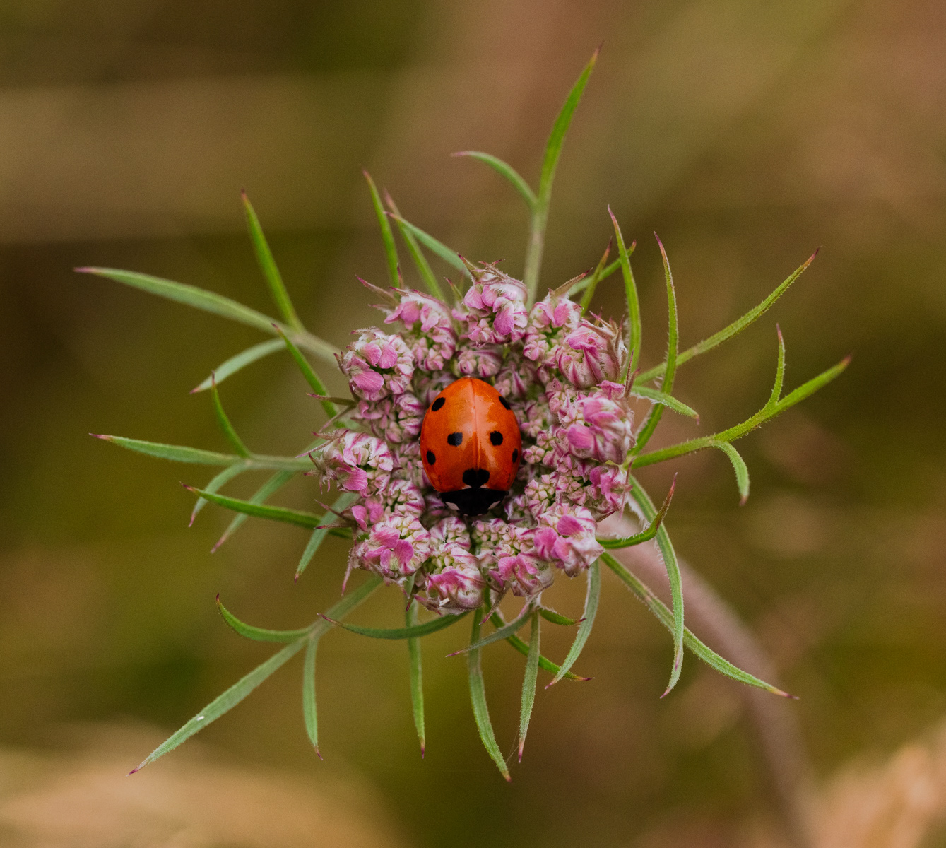 Landed by Zainab Mahmoud