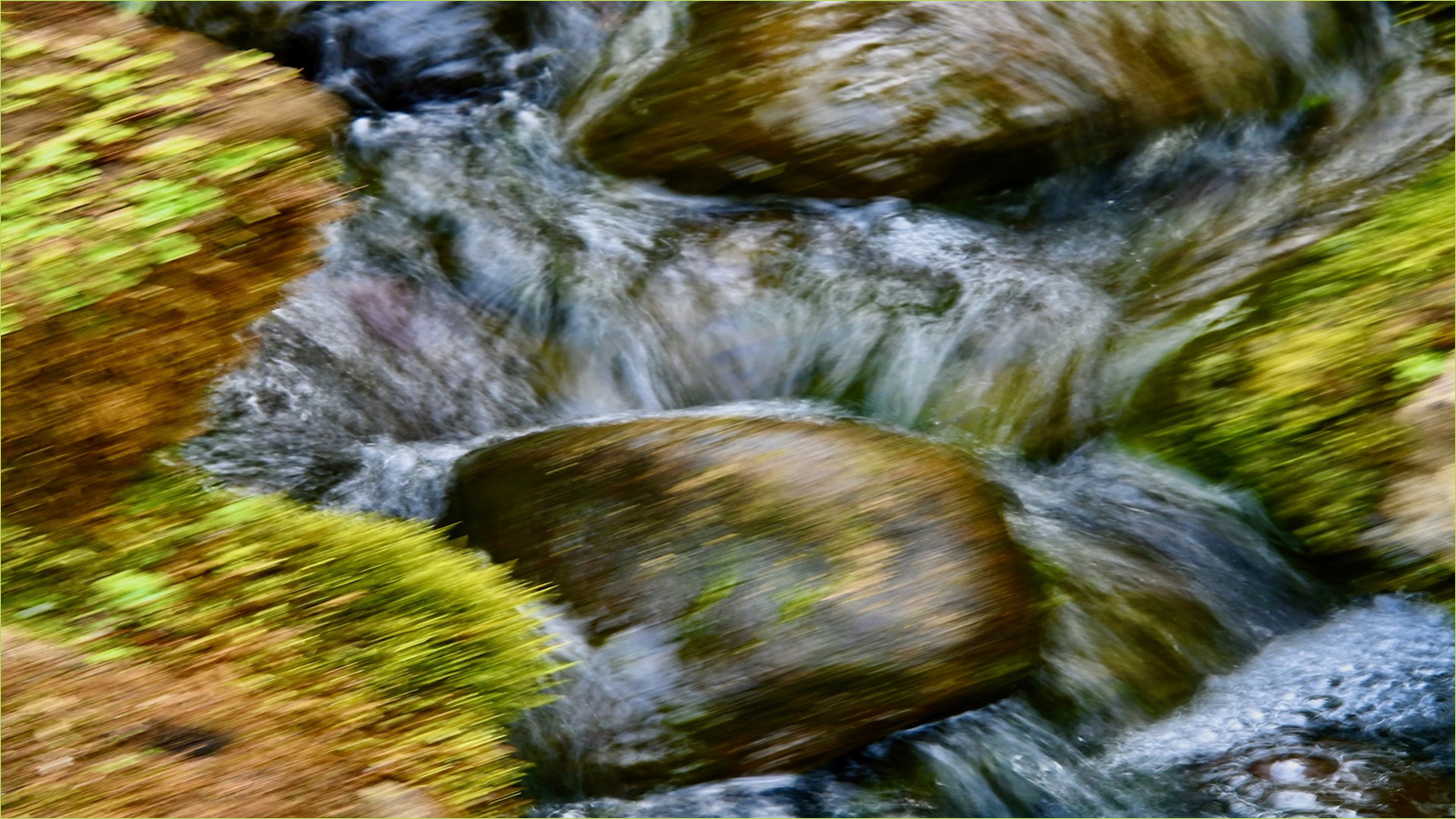Nature's Rhythm by Helen Cowie