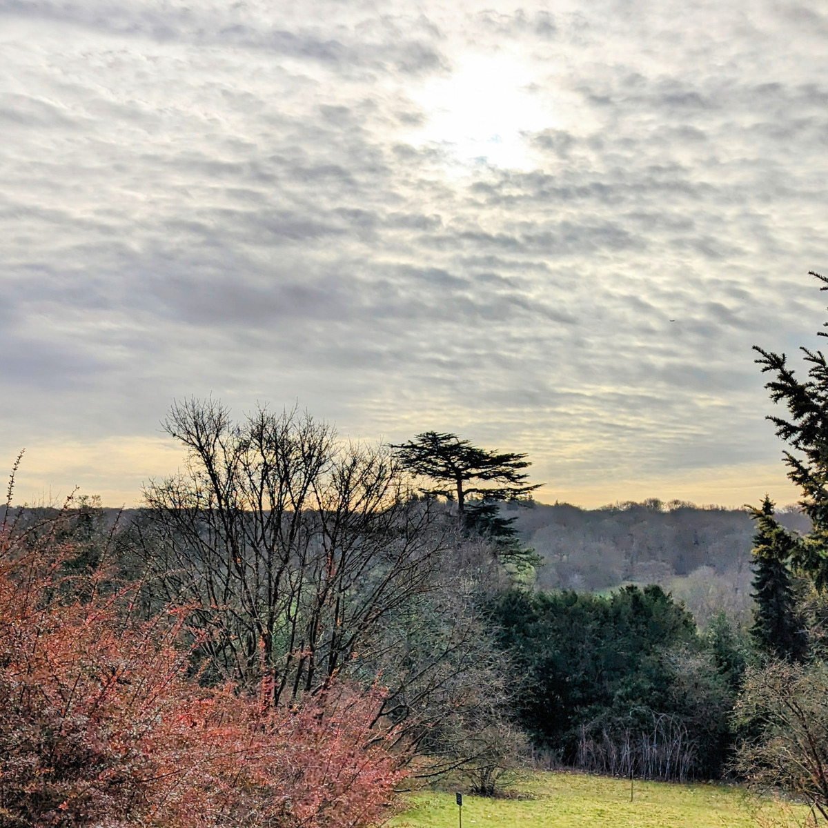 View from Polesden Lacey by Paul Beck
