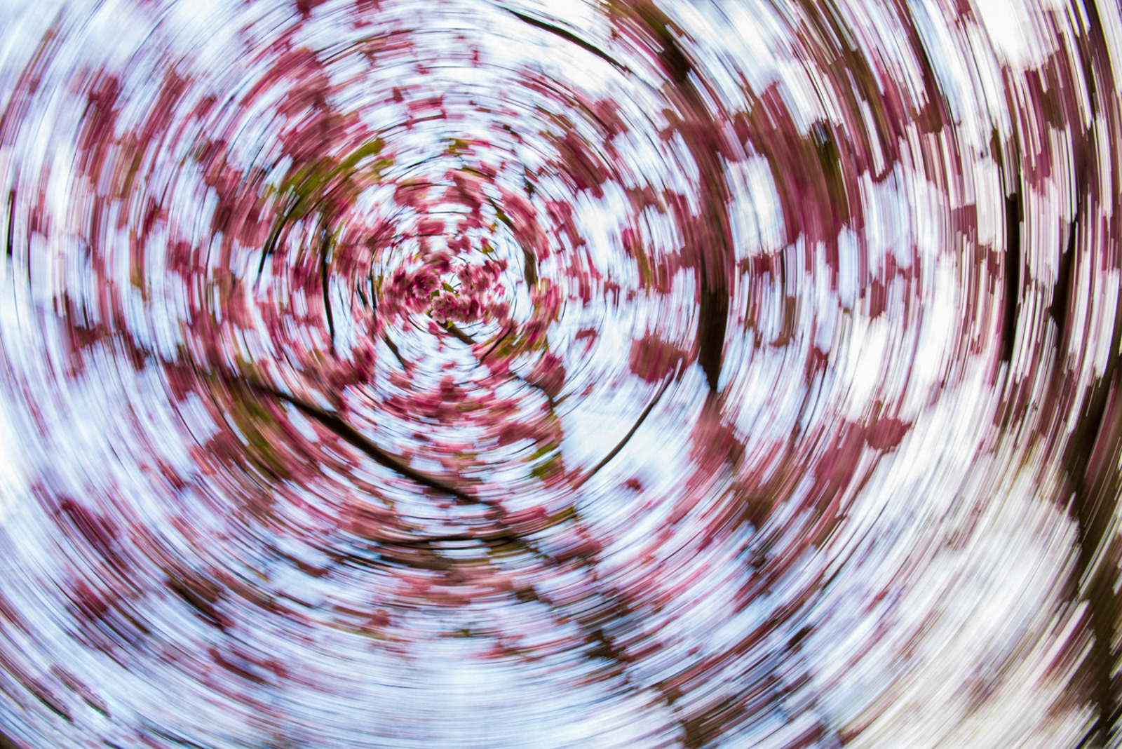 Whirling by Zainab Mahmoud