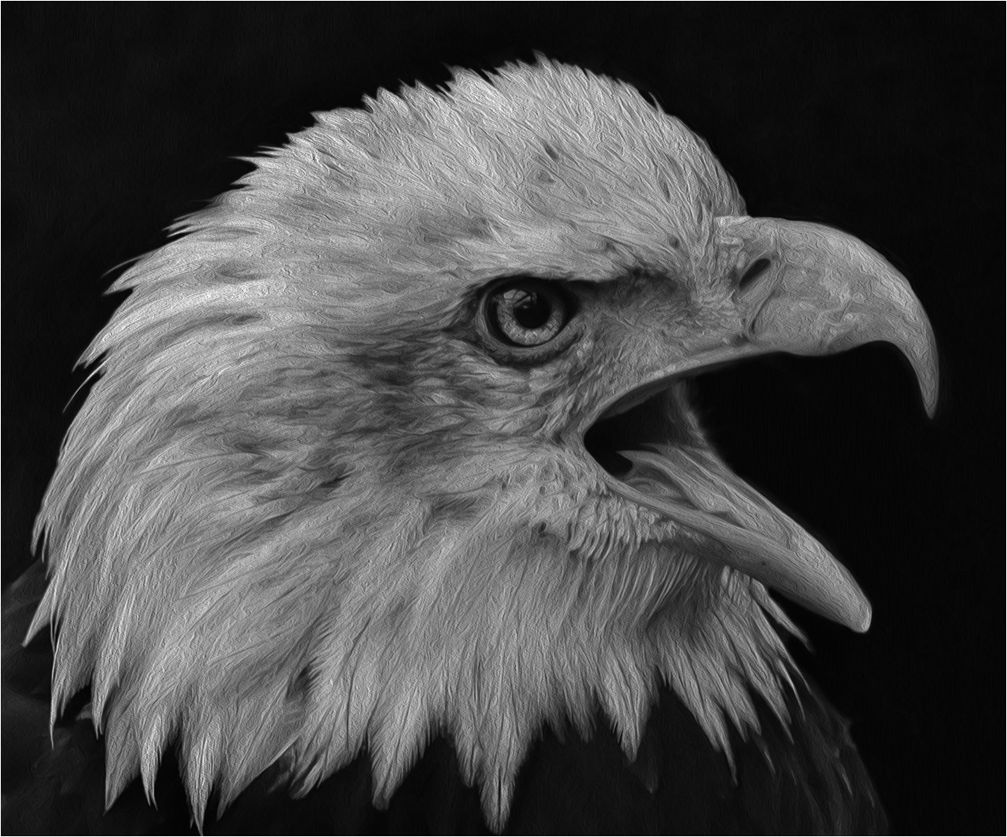 Squark by Helen Bannan