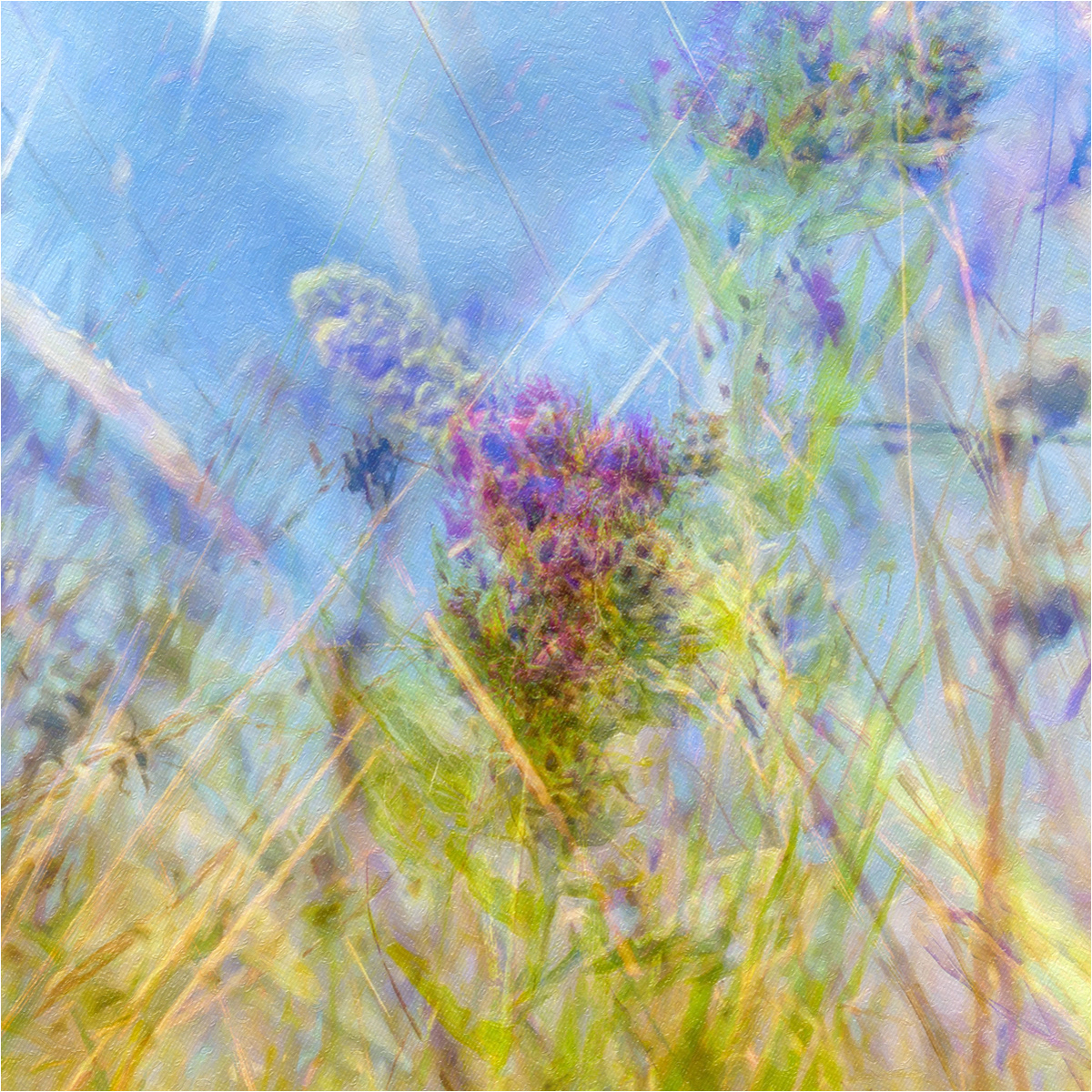 SCORE 10 Ranmore Meadow by Andrew Webster ARPS