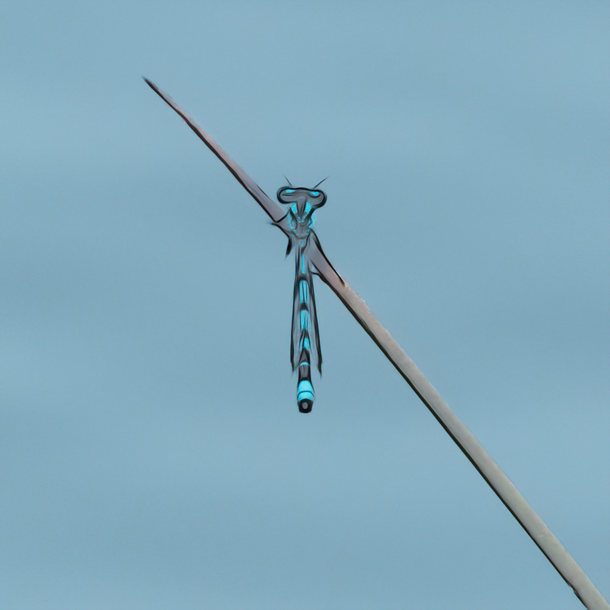 SCORE 10 Hanging around by Richard Milton-Worssell