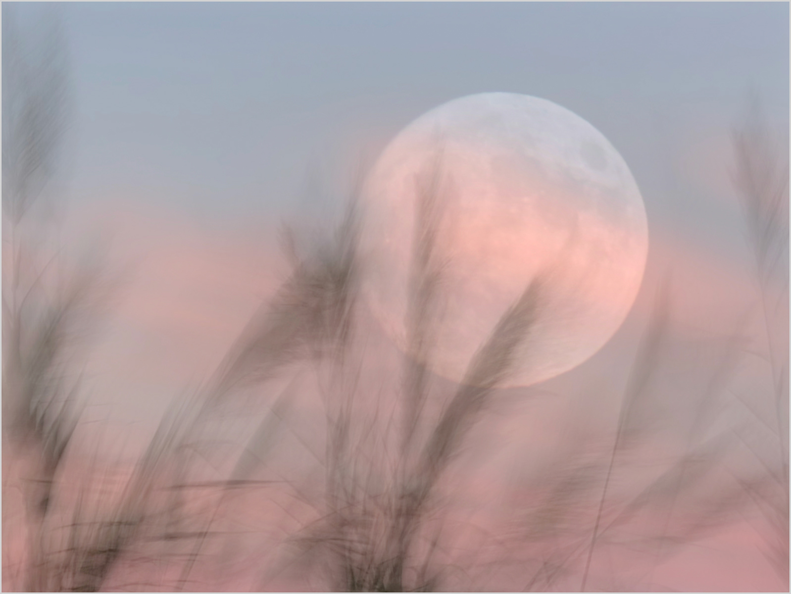 SCORE 10 Full moon rising by Sheena Rogers
