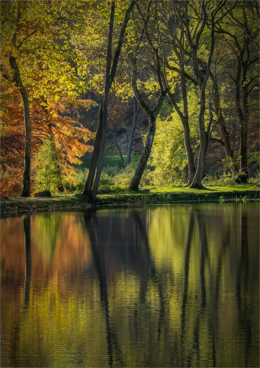 SCORE 9.5 Autumnal Reflections by Richard Milton-Worssell