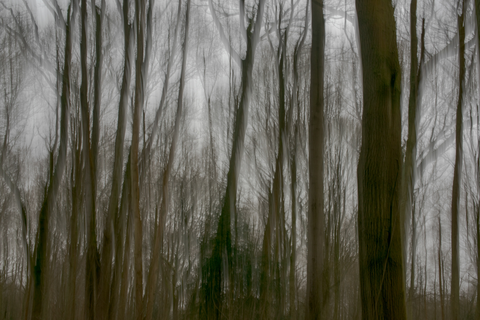 8.0 Pictorialism 2 by Zainab Medcotas