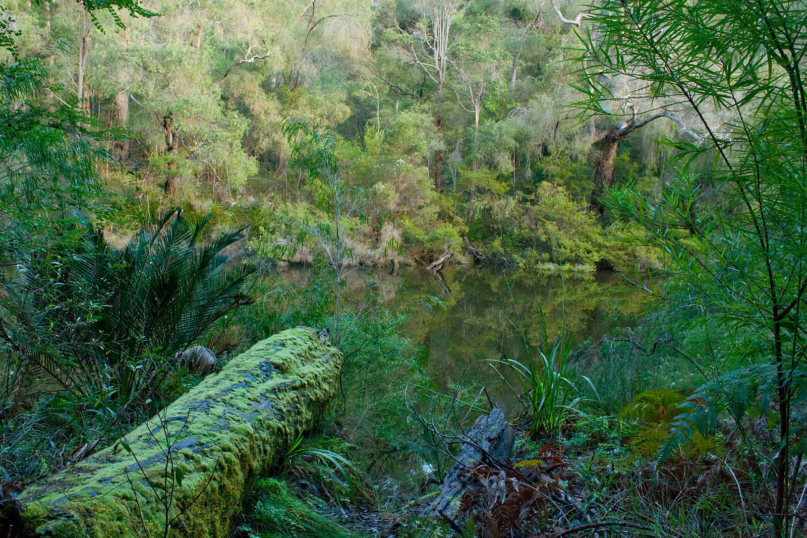 Jurassic Reflections by Edward Bennett LRPS