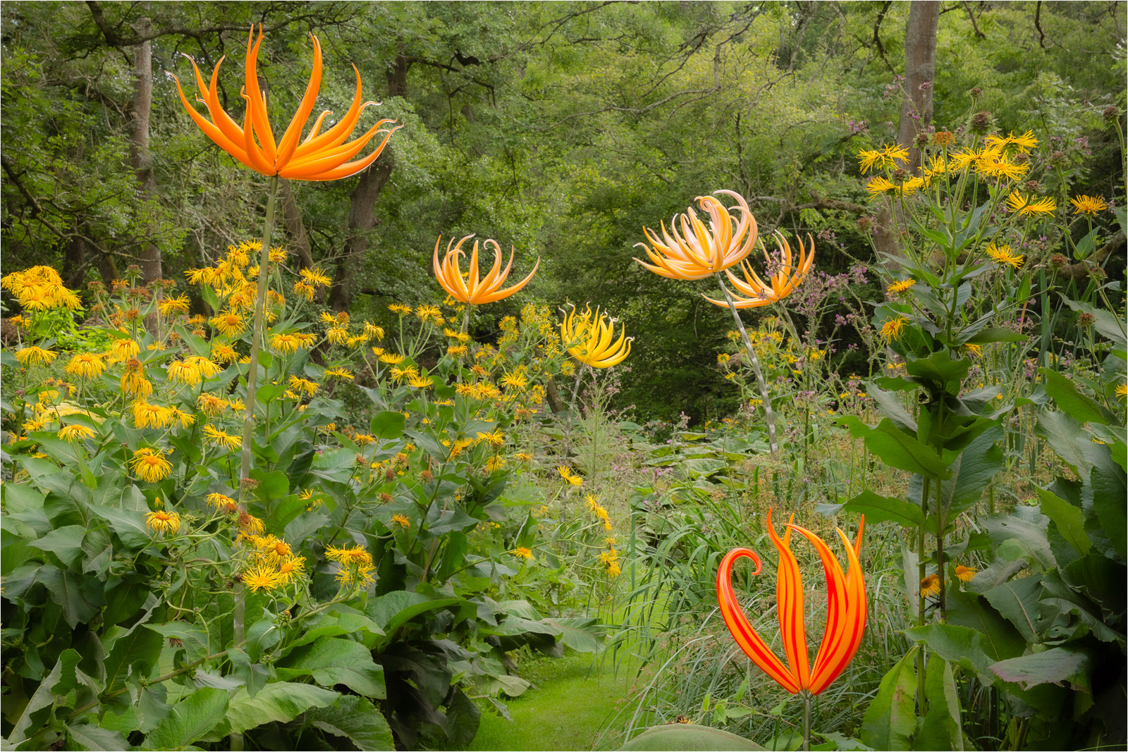 The Enchanted Garden by Richard Knapp LRPS