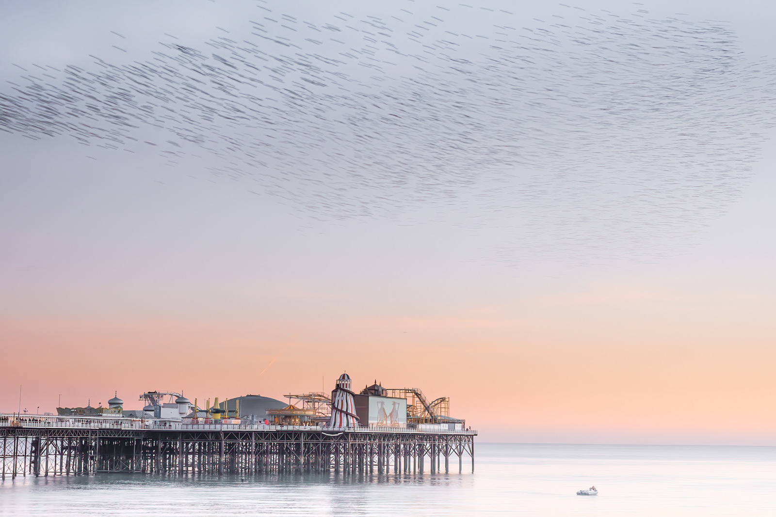 HIGHLY COMMENDED A Swirl of Starlings by Daniel Langer