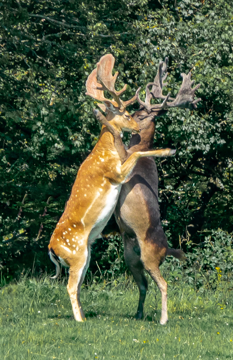 The embrace by Phil Day