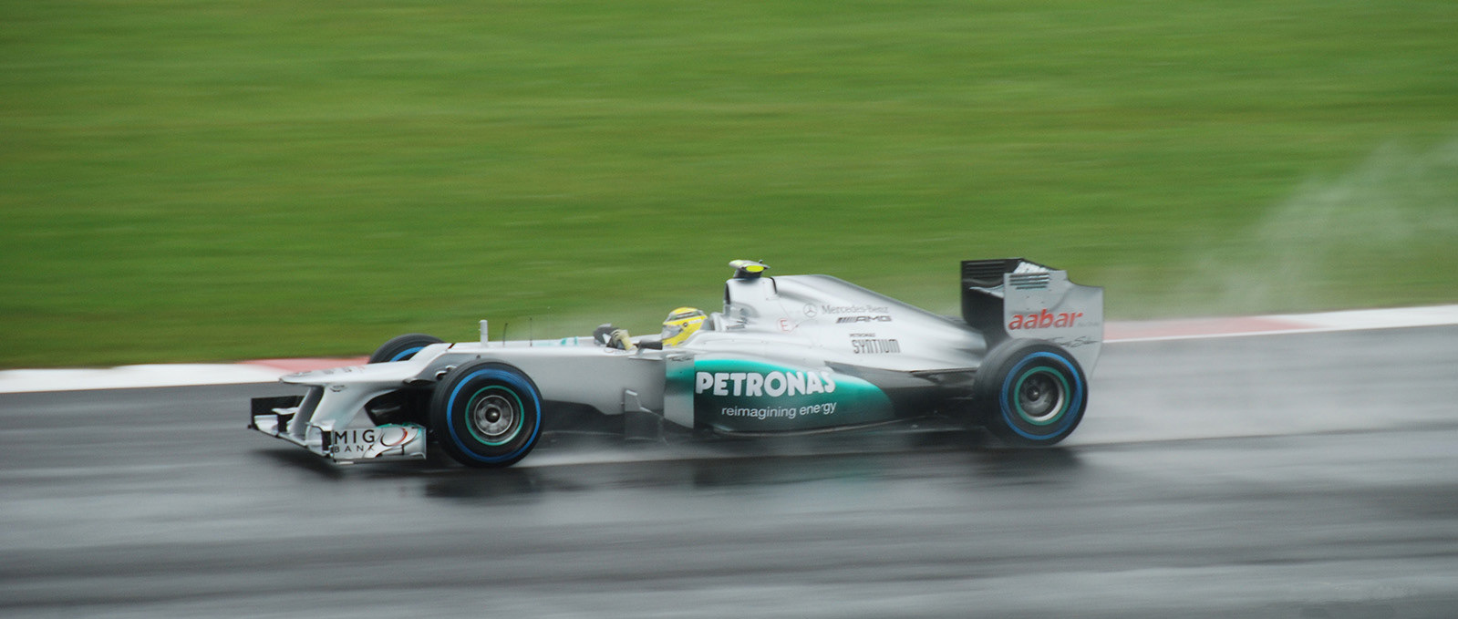 Commended - Racing in the Rain by Sue Swain Fossey