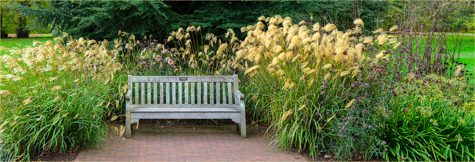 HELD BACK Forever here by David Balaam