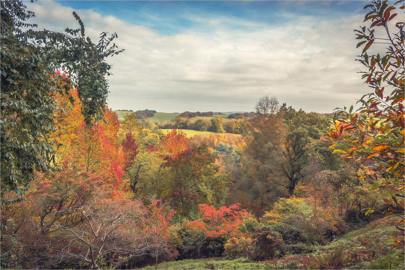 Sigal Kellermann_Autumn flame