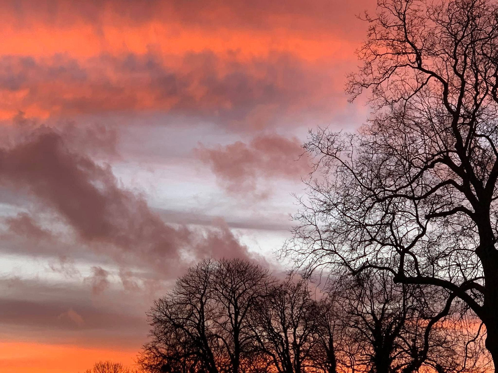 Zainab Mahmoud_Ember Sky