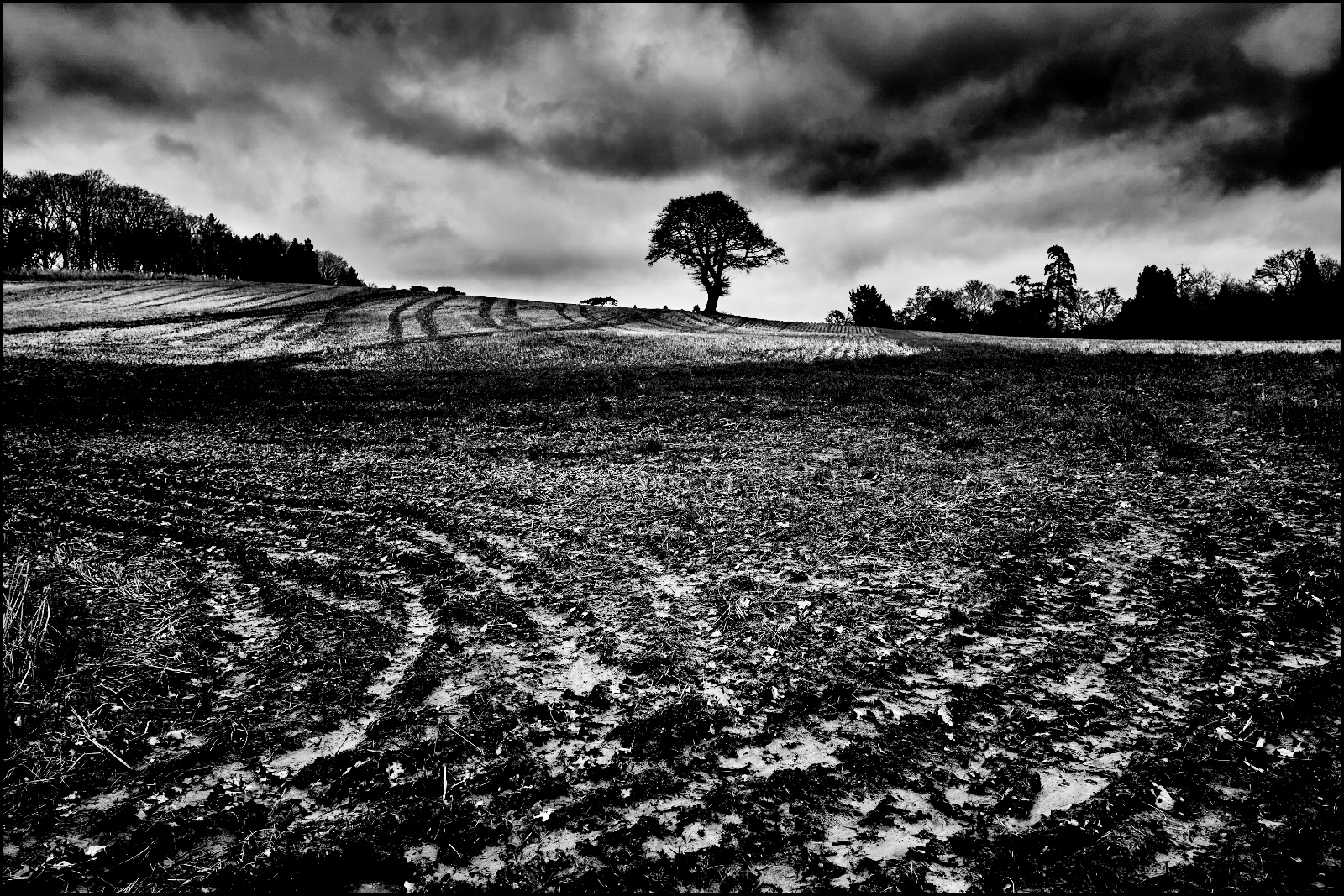 Mark Sandiforth_Muddy Field in February